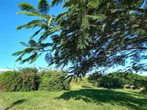35 ha Farm in Empangeni