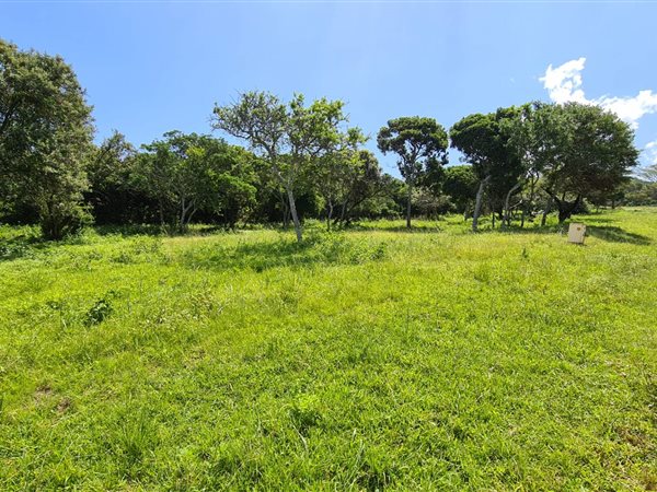 925 m² Land available in Cintsa