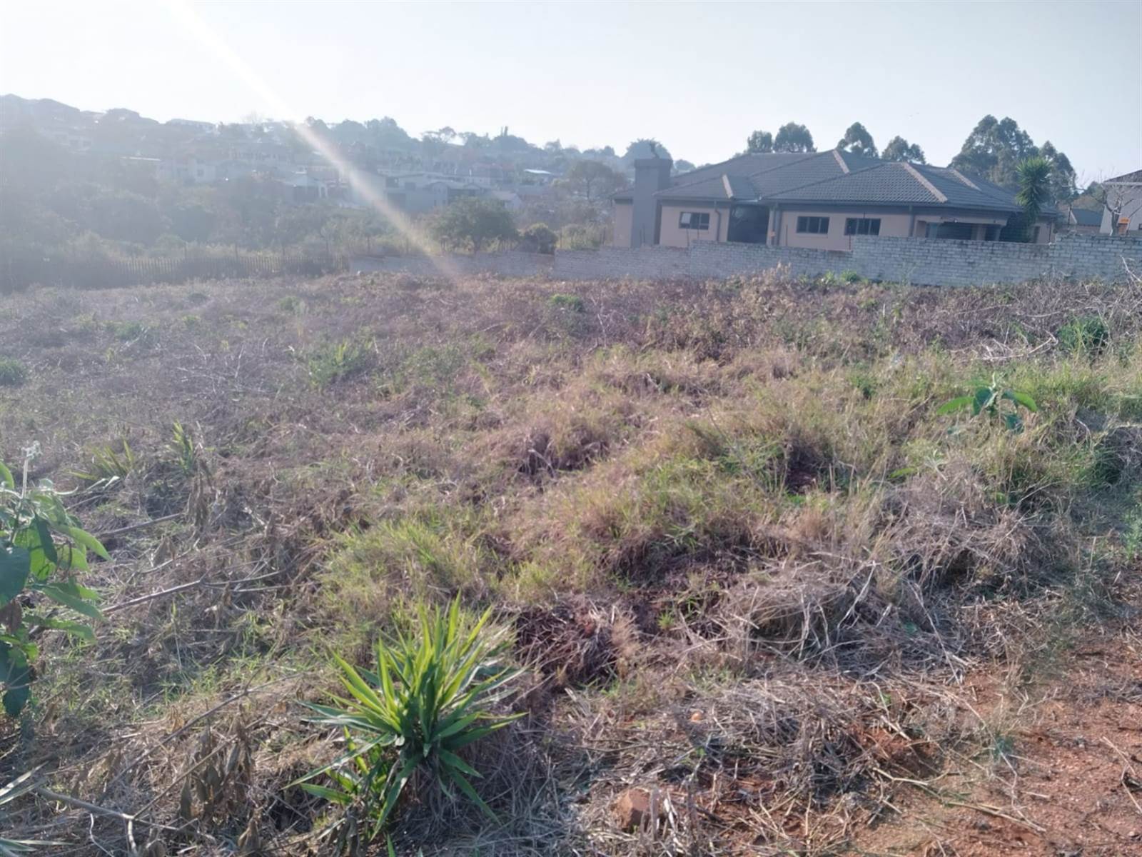 1537 m² Land available in Tzaneen photo number 3