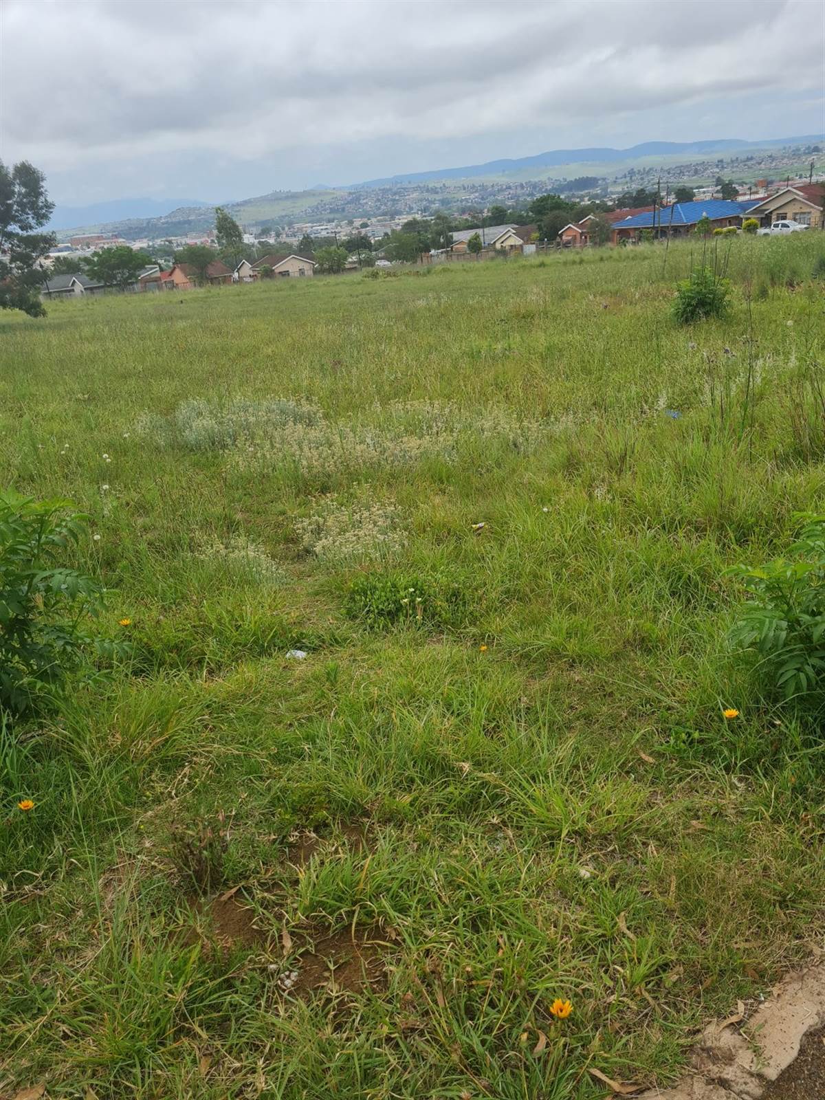 482 m² Land available in Mthata photo number 8
