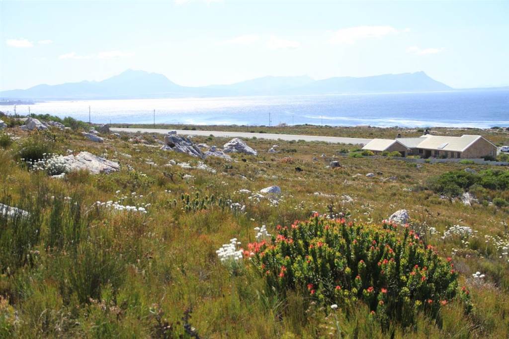 22.3 ha Land available in Bettys Bay photo number 2
