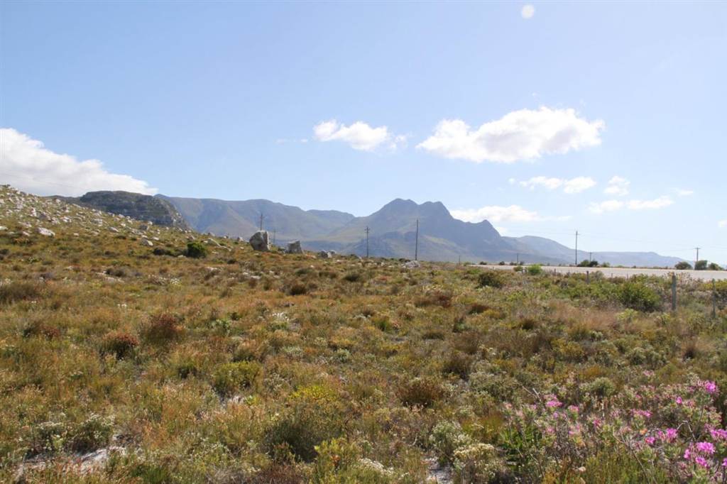 22.3 ha Land available in Bettys Bay photo number 4