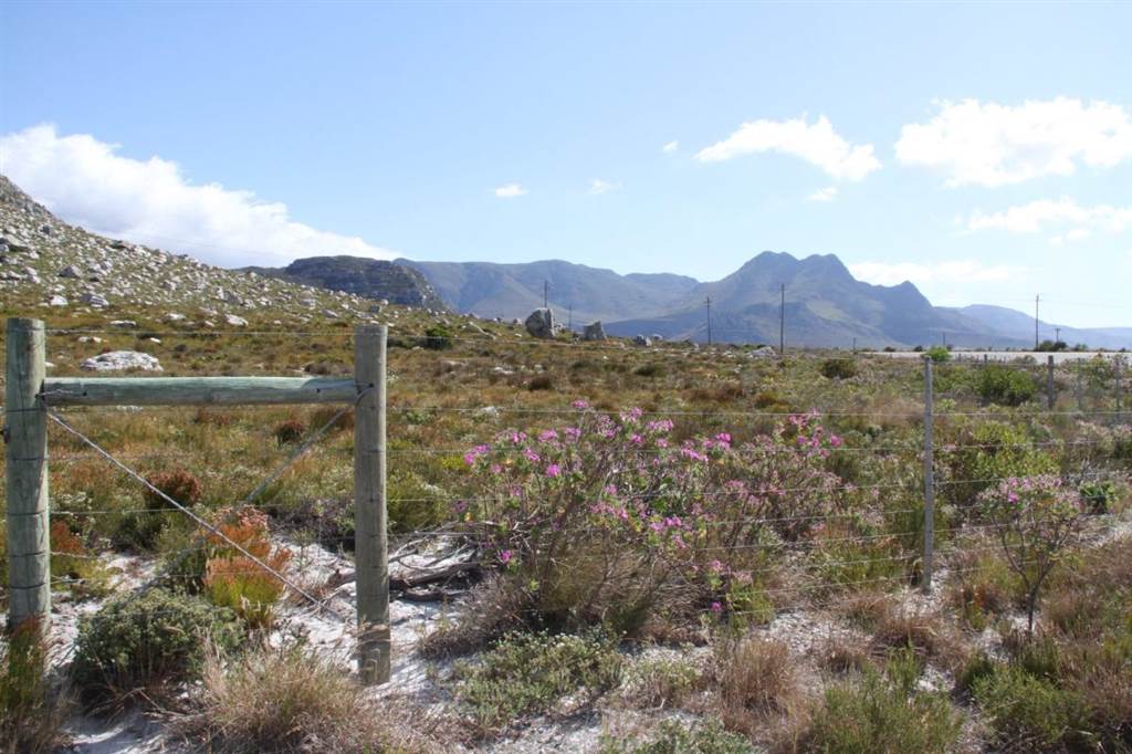 22.3 ha Land available in Bettys Bay photo number 5