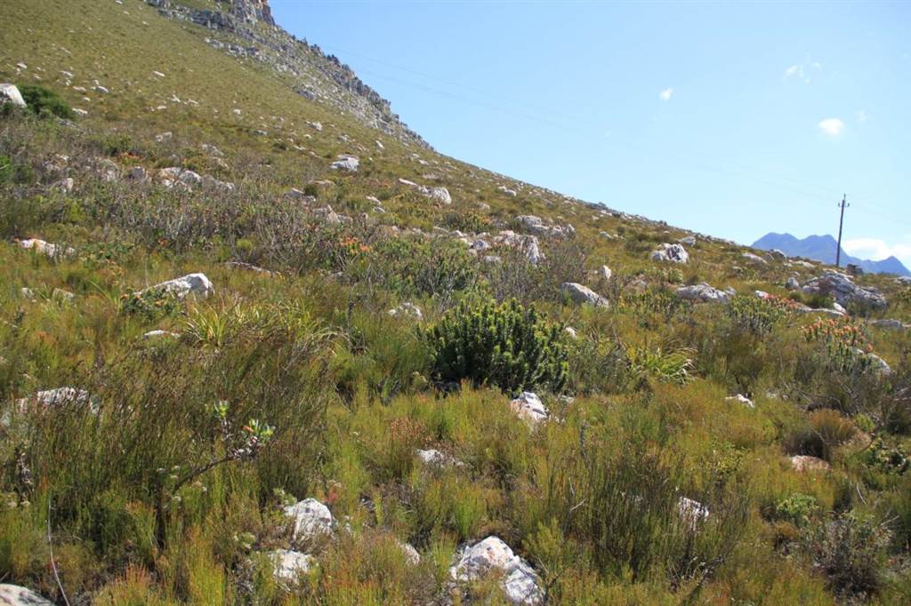 22.3 ha Land available in Bettys Bay photo number 15