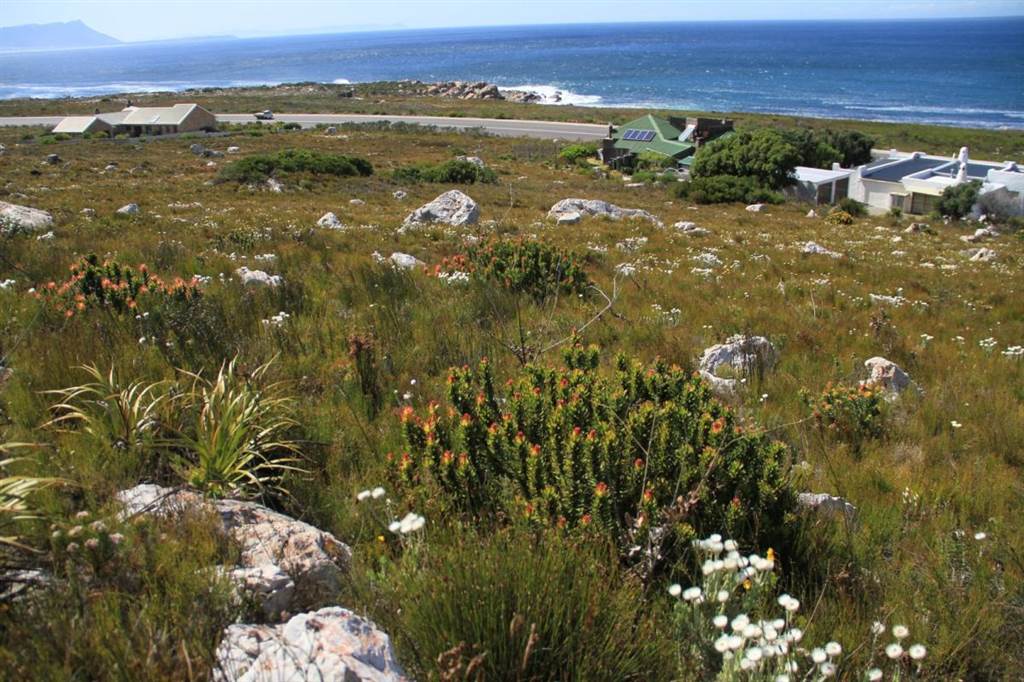 22.3 ha Land available in Bettys Bay photo number 3