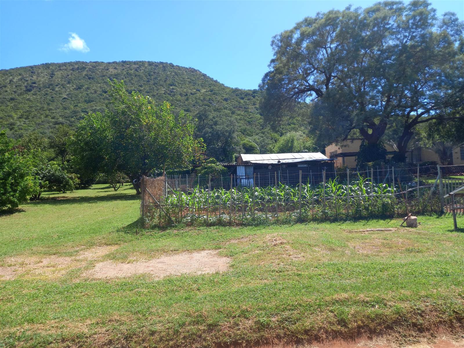 21.4 ha Smallholding in Mokopane photo number 26