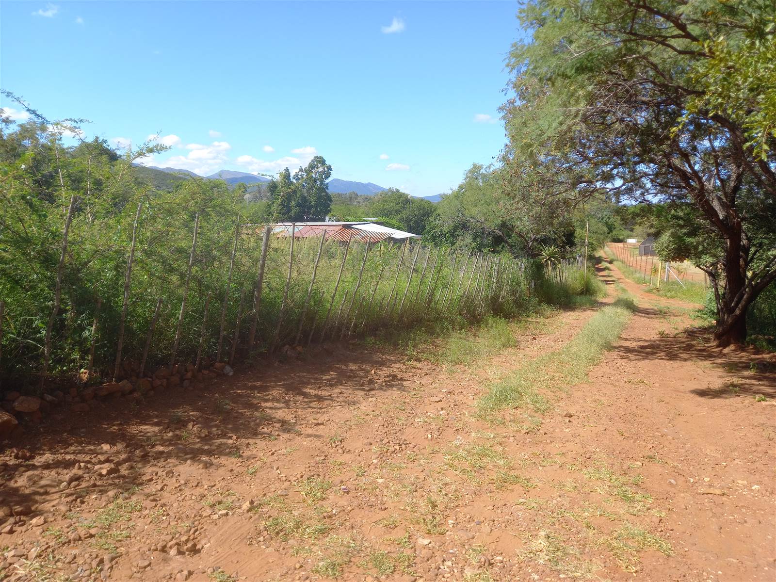 21.4 ha Smallholding in Mokopane photo number 5