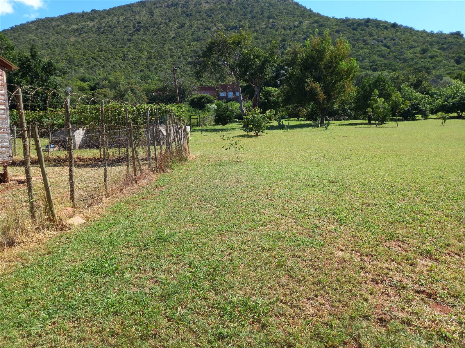 21.4 ha Smallholding in Mokopane photo number 14