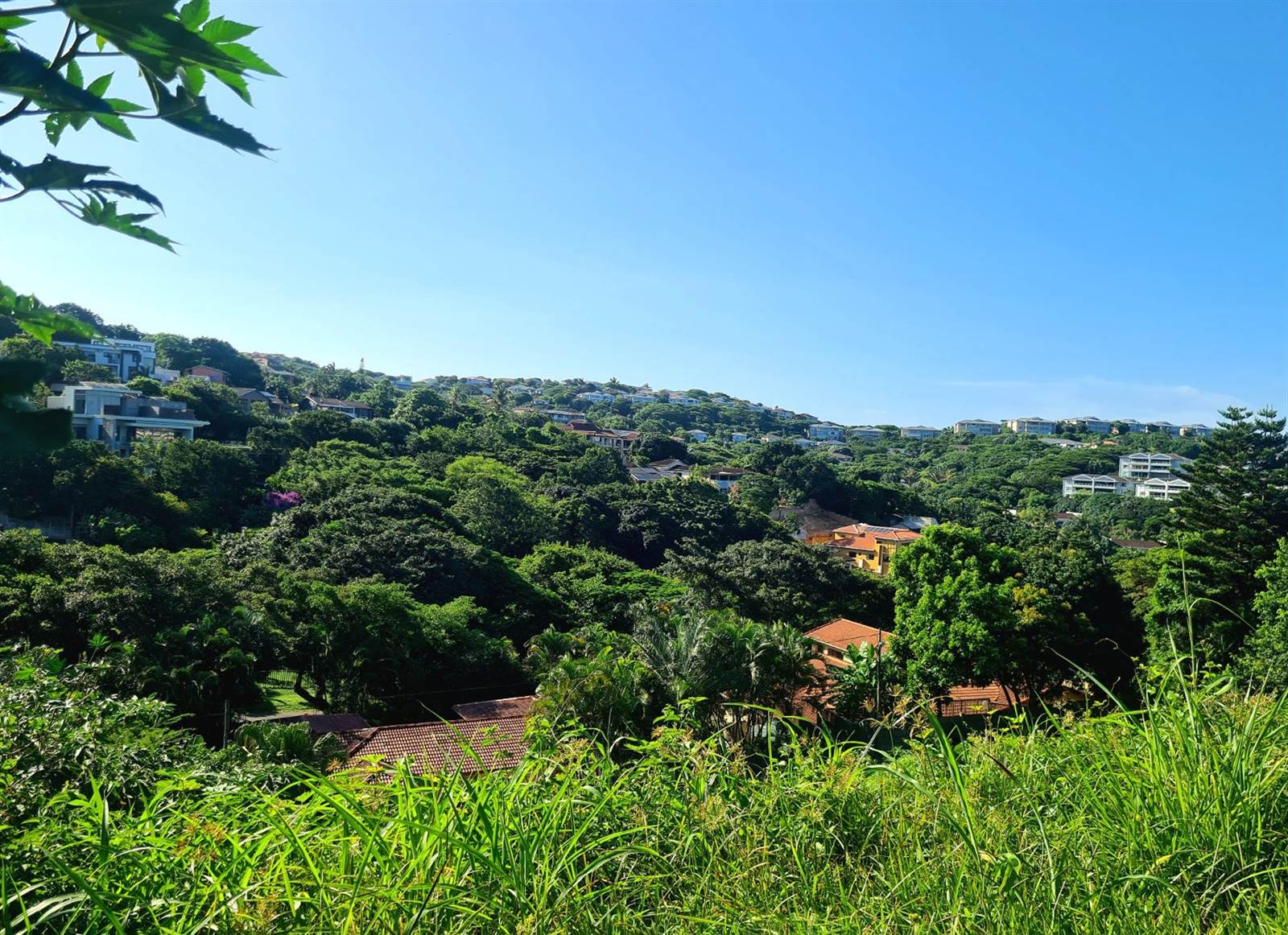 974 m² Land available in Ballito photo number 1
