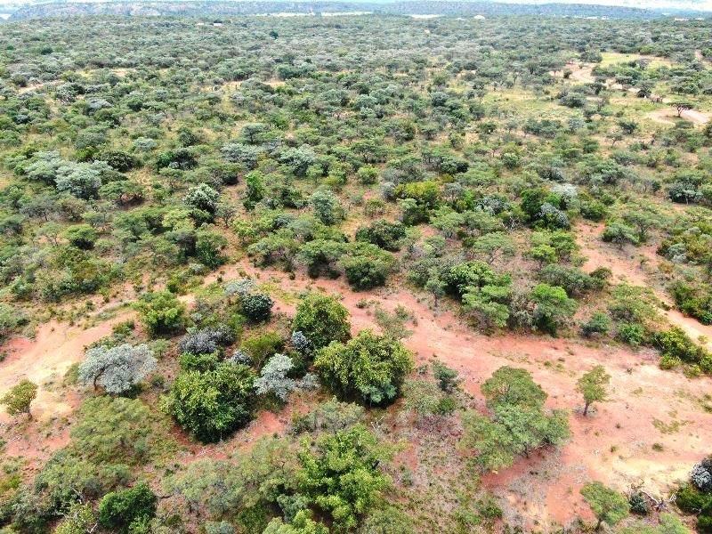 2607 m² Land available in Verloren Estate photo number 1