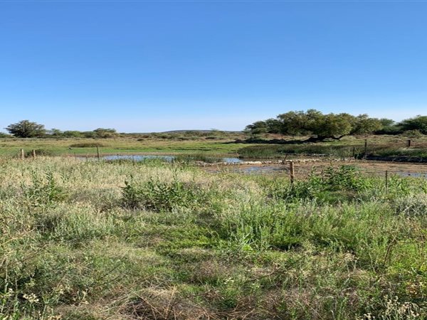 822.3 ha Farm