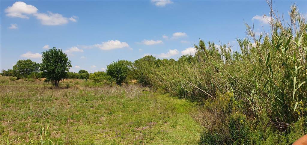 9 ha Land available in Bultfontein AH photo number 2