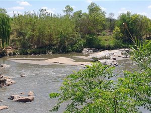 22 m² Land available in Bultfontein AH