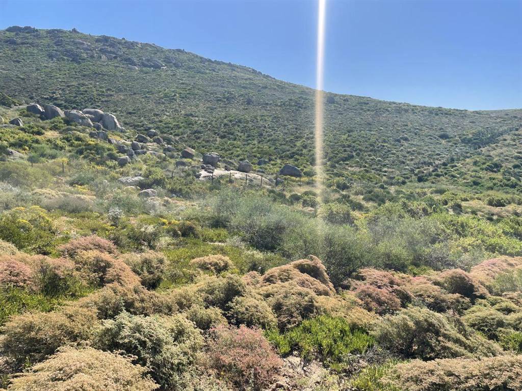 409 m² Land available in St Helena Views photo number 6
