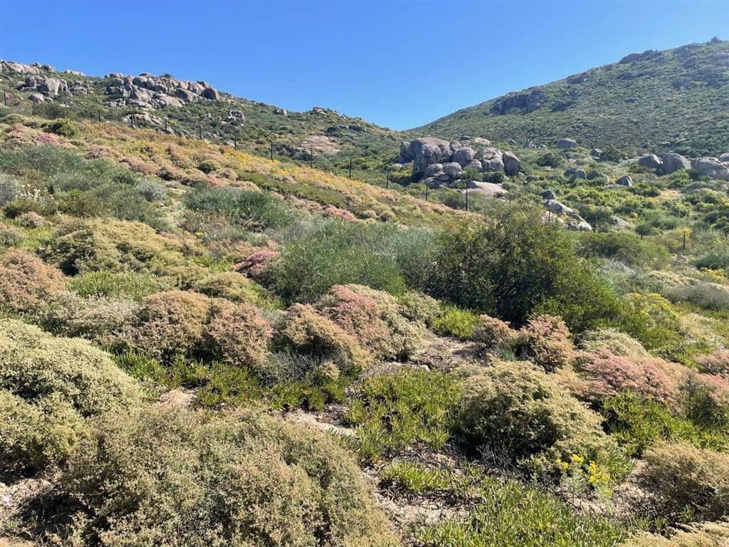 409 m² Land available in St Helena Views photo number 5