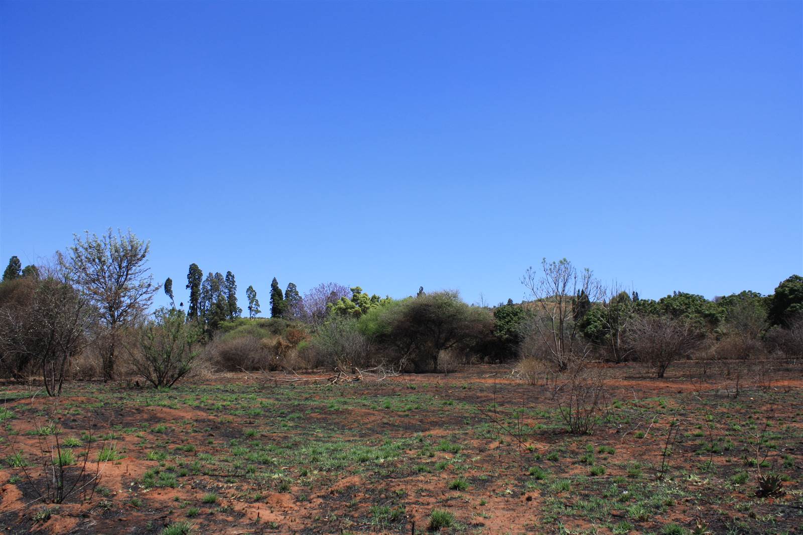 1.4 ha Land available in Waterkloof East photo number 4