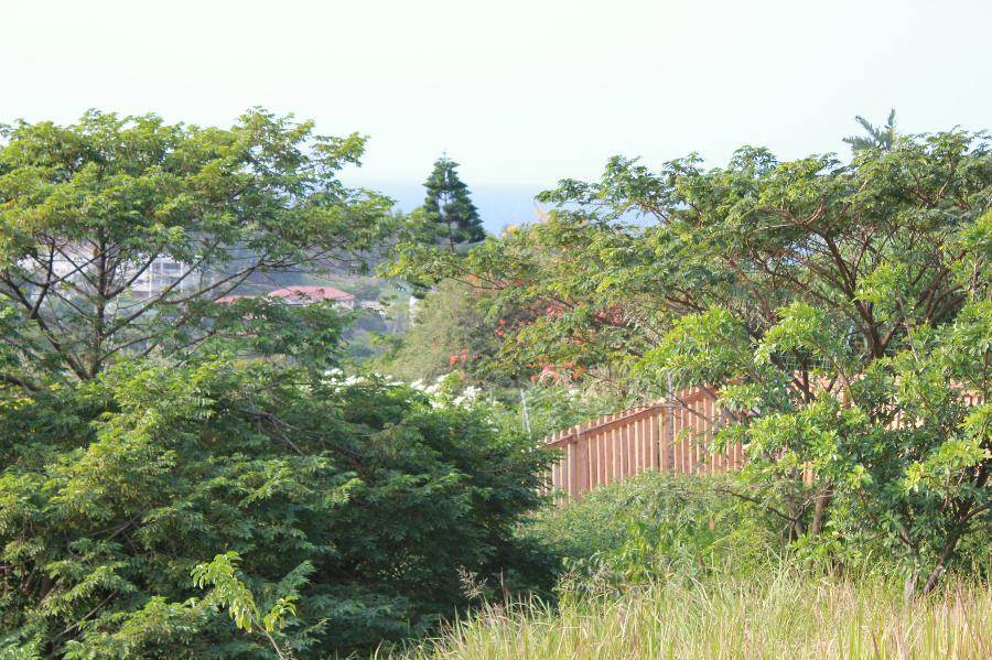 1973 m² Land available in Simbithi Estate photo number 2