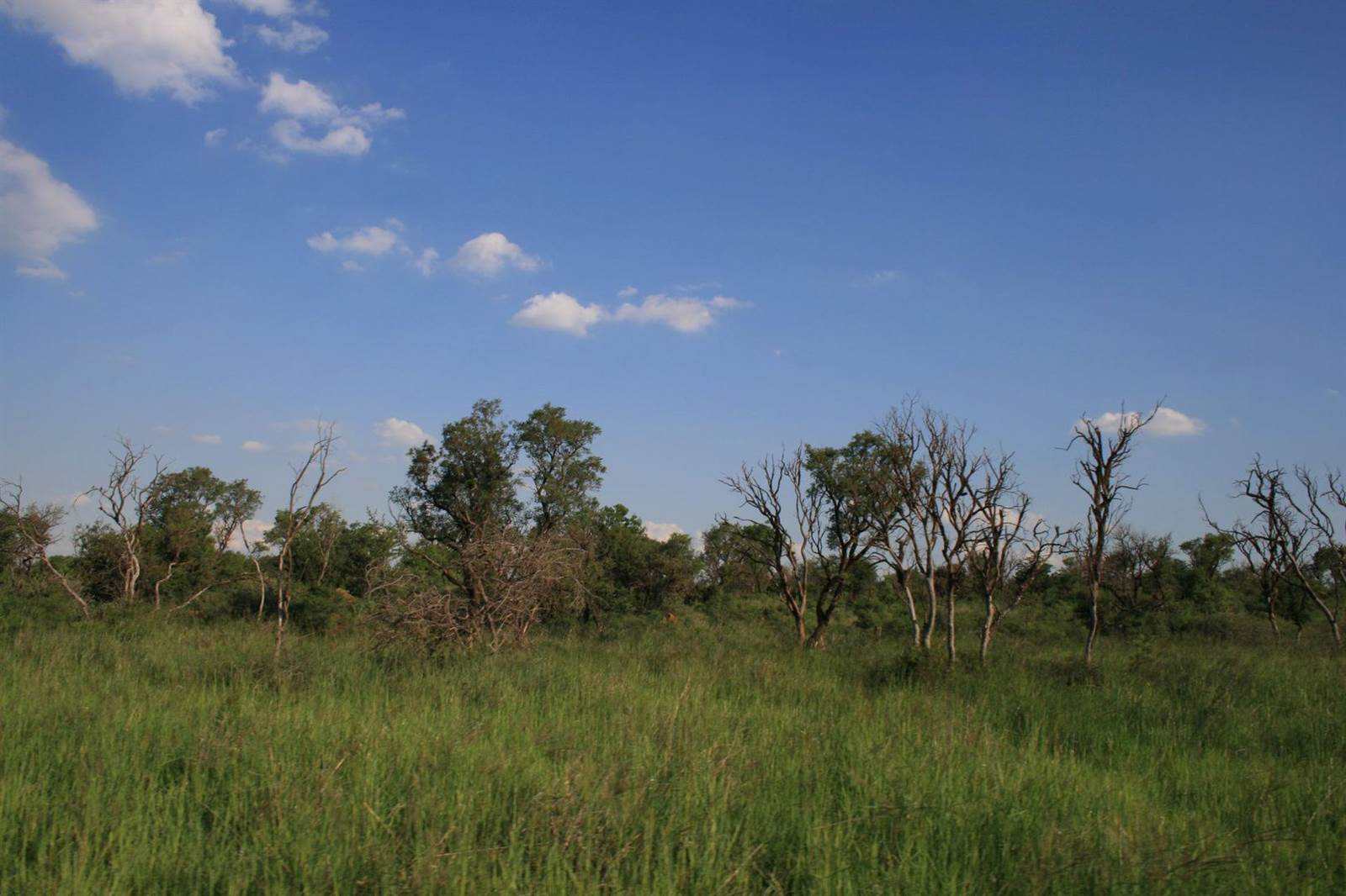 2019 m² Land available in Lekwena Wildlife Estate photo number 8