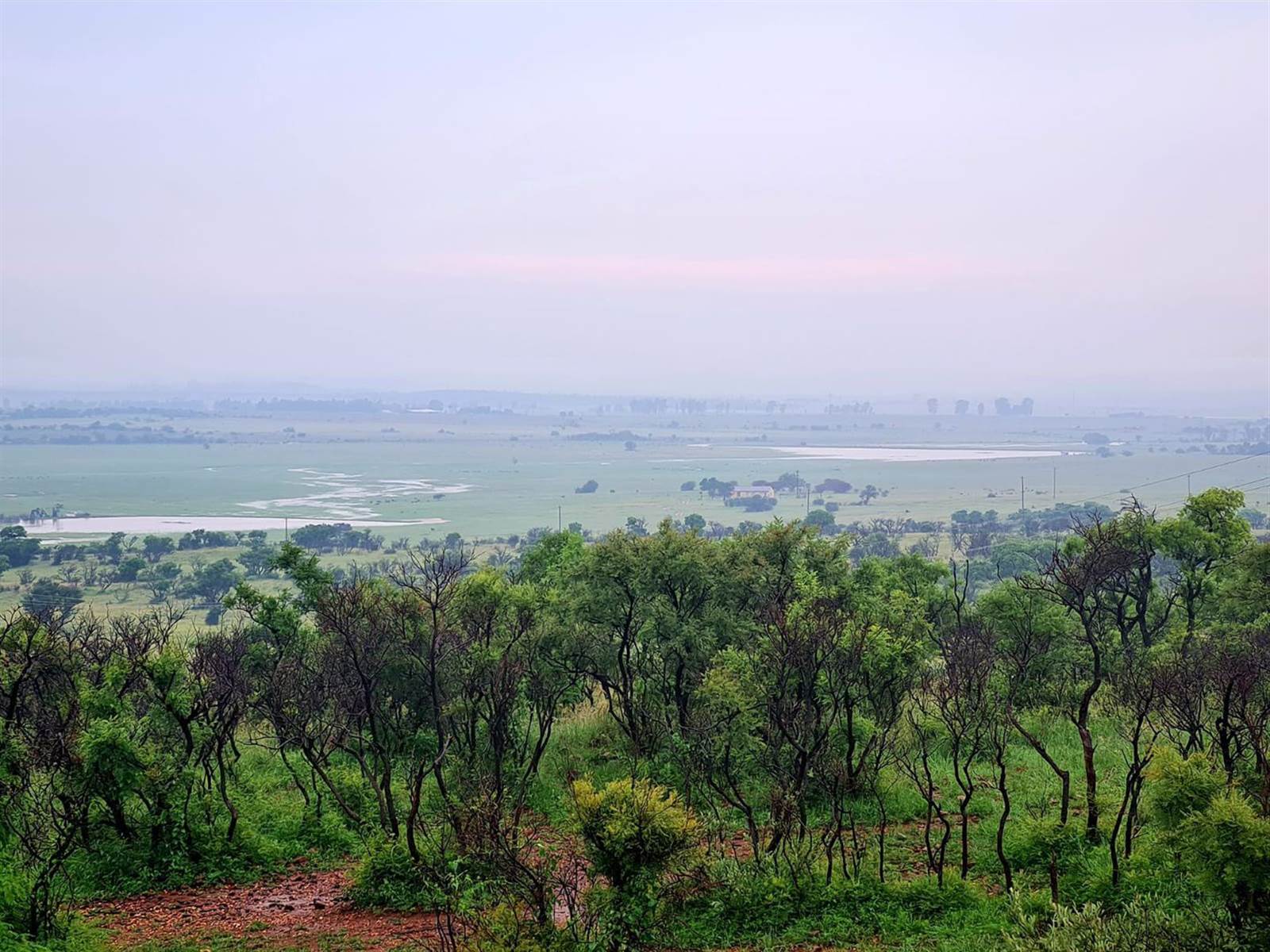 2019 m² Land available in Lekwena Wildlife Estate photo number 4