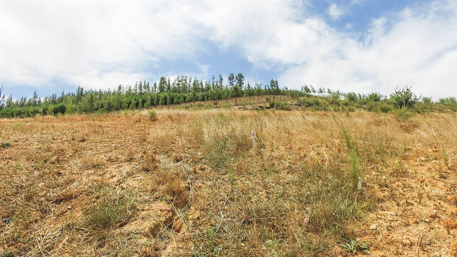425 m² Land available in Stellenbosch Central photo number 7