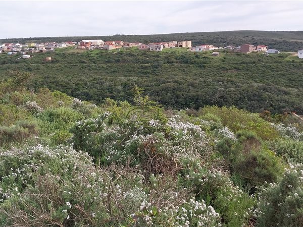 510 m² Land available in Mossel Bay
