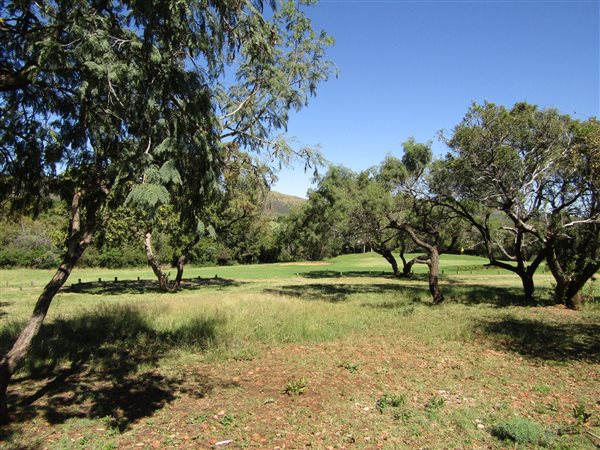 357 m² Land available in Seasons Lifestyle Estate