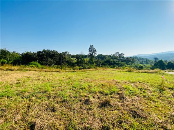 295 m² Land