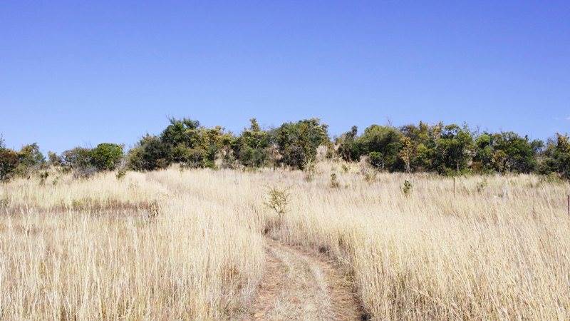 48.7 ha Land available in Mookgophong (Naboomspruit) photo number 6