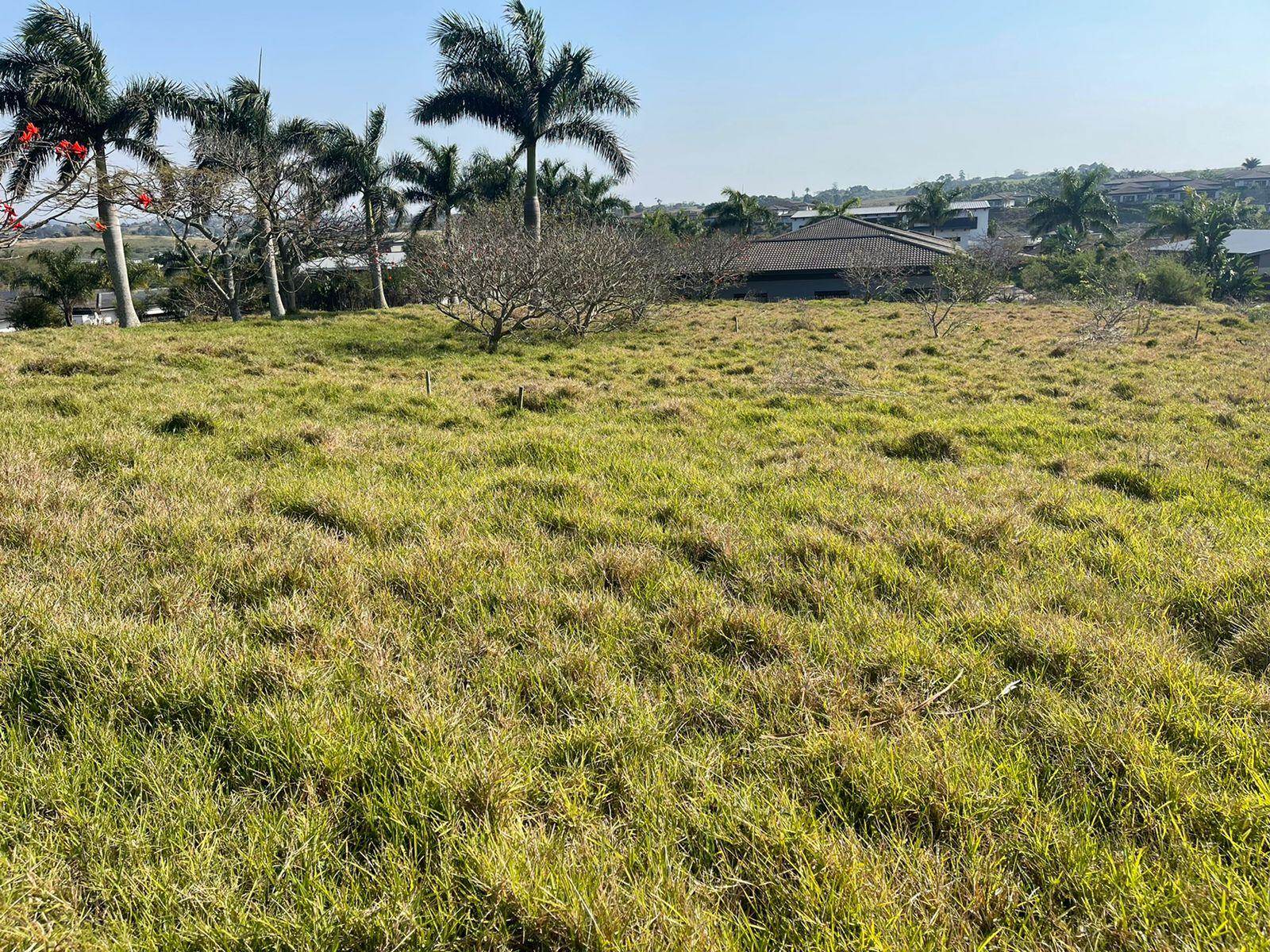 1426 m² Land available in Palm Lakes Estate photo number 3