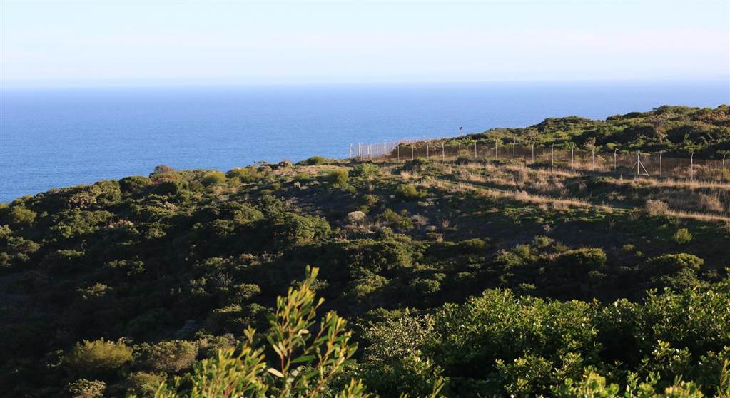800 m² Land available in Pinnacle Point Golf Estate photo number 6