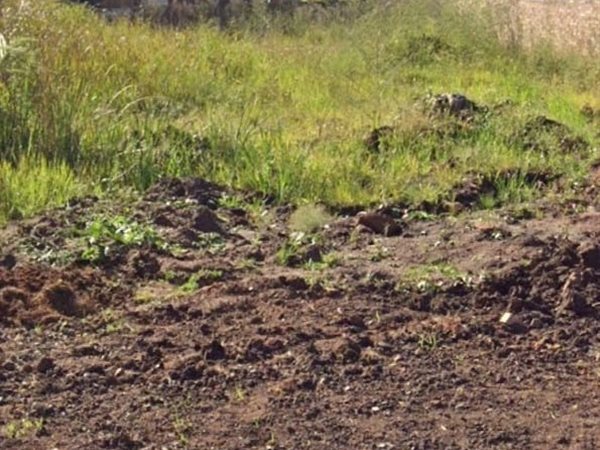 750 m² Land 750 m² Land