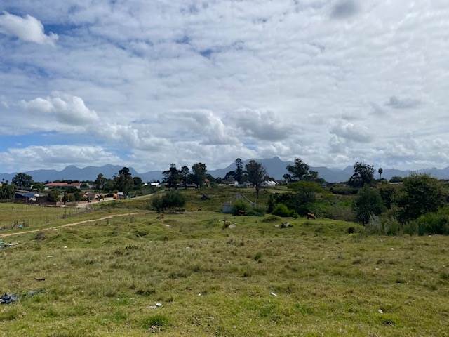 6500 m² Land available in Pacaltsdorp photo number 3