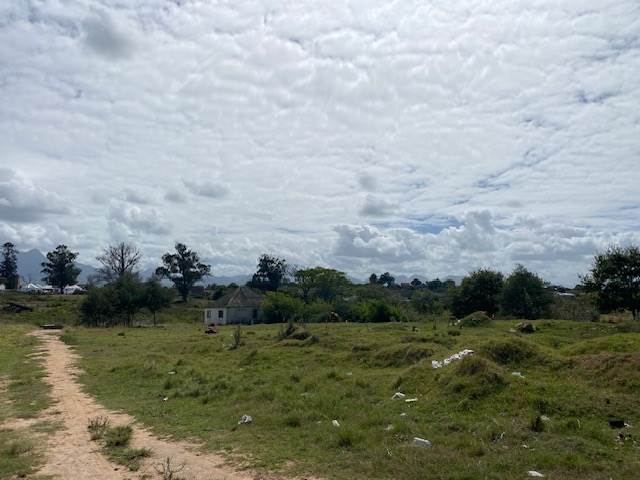 6500 m² Land available in Pacaltsdorp photo number 6