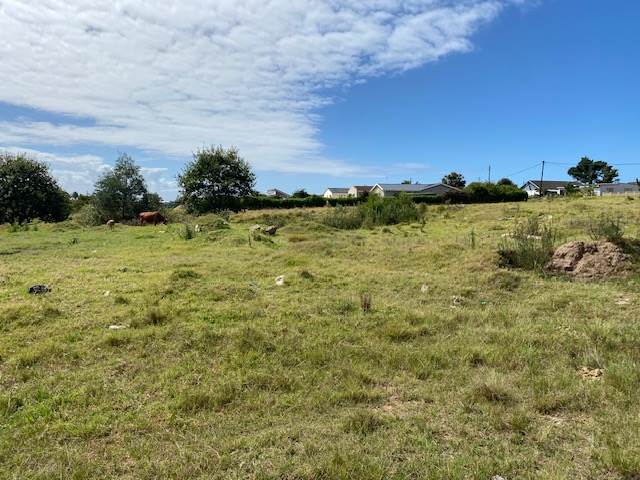 6500 m² Land available in Pacaltsdorp photo number 4