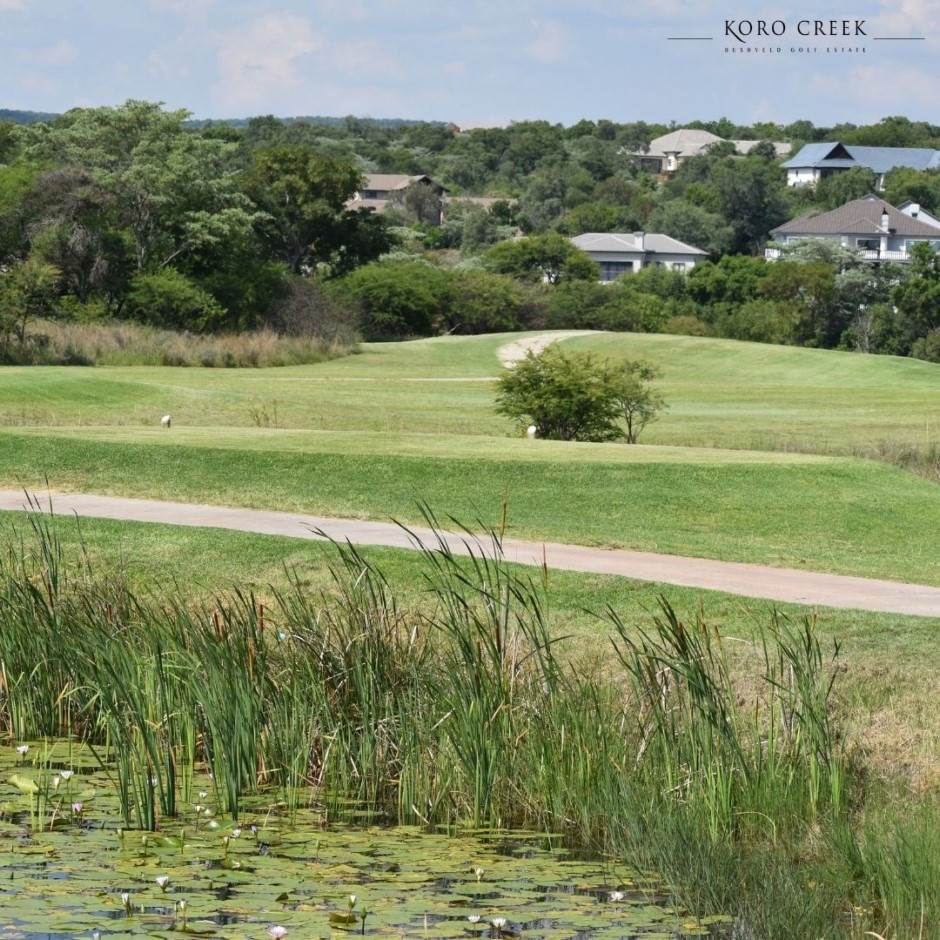 1082 m² Land available in Koro Creek Golf Estate photo number 8