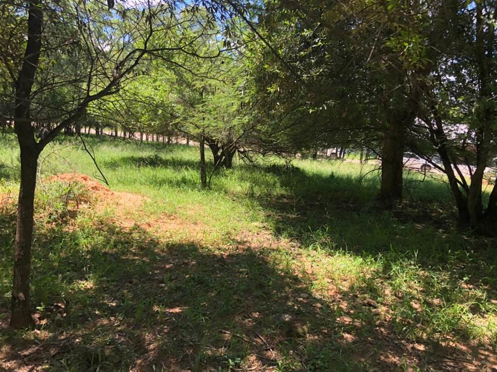 1082 m² Land available in Koro Creek Golf Estate photo number 6