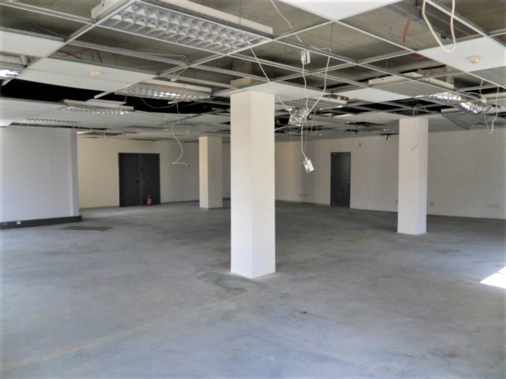 238  m² Commercial space in Fourways photo number 10
