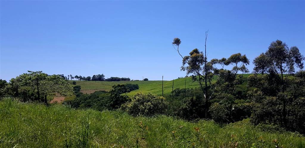 8.9 ha Smallholding in Port Shepstone photo number 26