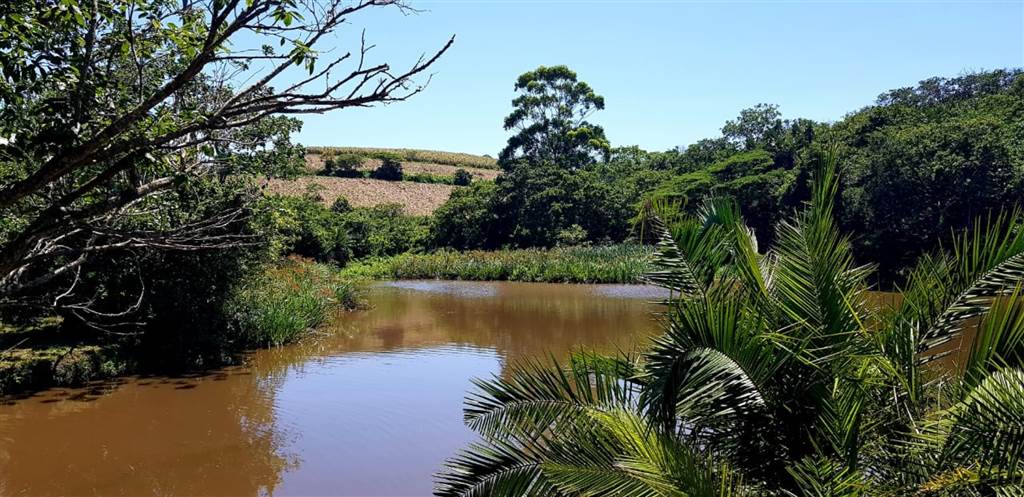 8.9 ha Smallholding in Port Shepstone photo number 19