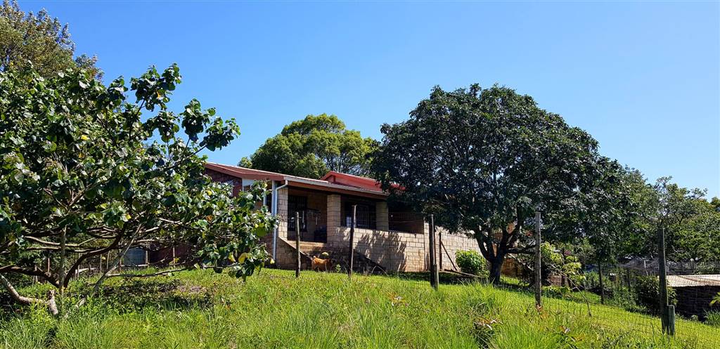8.9 ha Smallholding in Port Shepstone photo number 8
