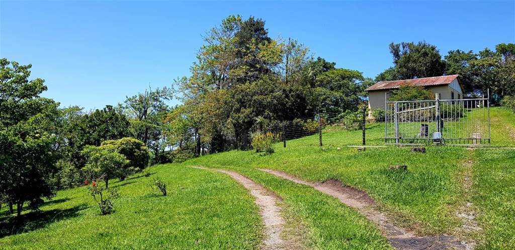 8.9 ha Smallholding in Port Shepstone photo number 5