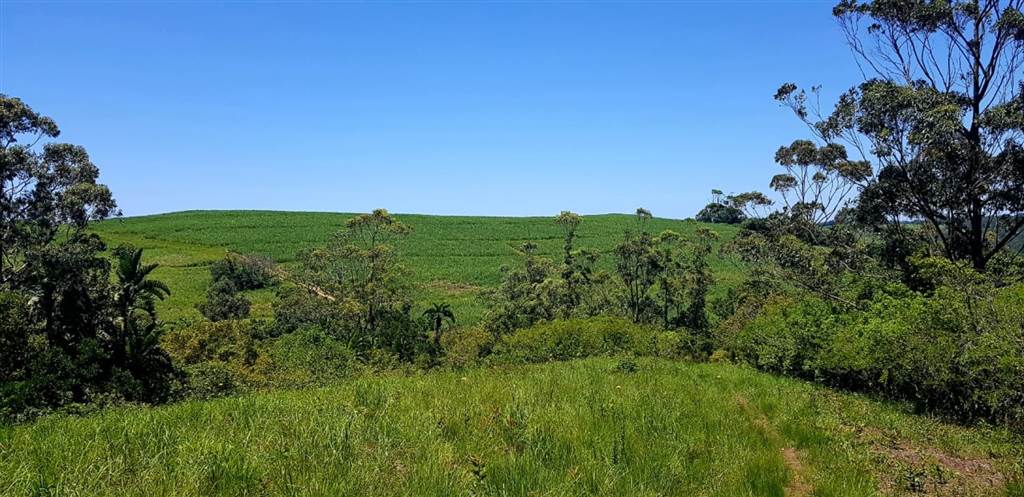8.9 ha Smallholding in Port Shepstone photo number 2