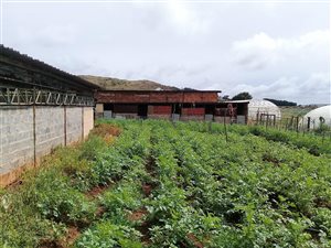8.5 ha Smallholding in Rensburg