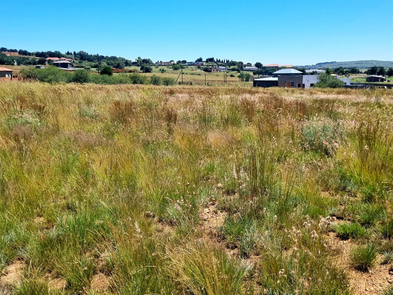 1 ha Land available in Walkerville photo number 4