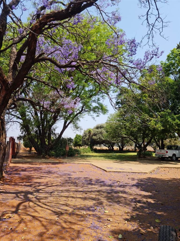 18.9 ha Farm in Rustenburg Rural photo number 11