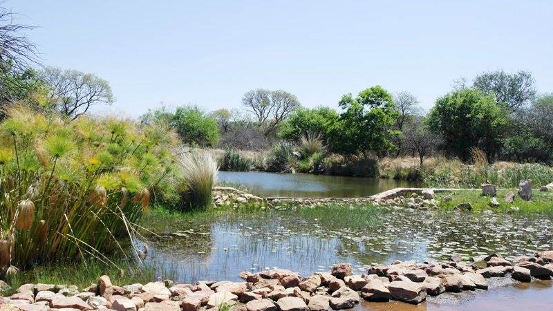 5201 m² Land available in Mookgophong (Naboomspruit) photo number 5