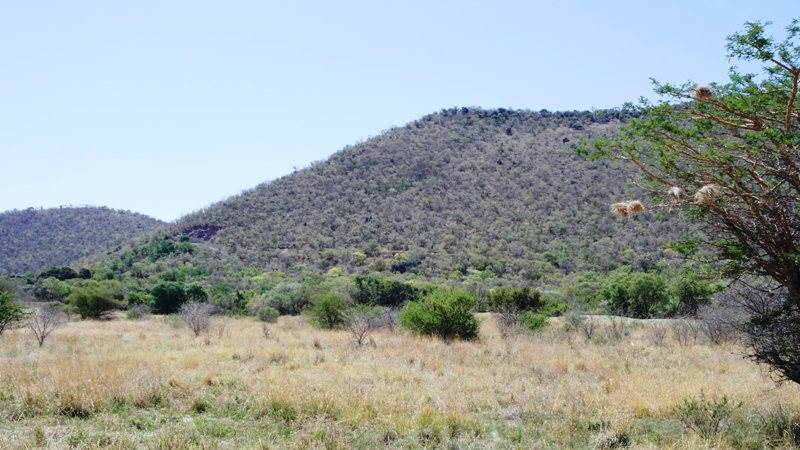 5201 m² Land available in Mookgophong (Naboomspruit) photo number 6