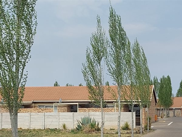 3 Bed House