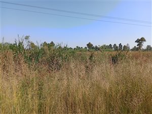 44420 ha Land available in Withok Estates