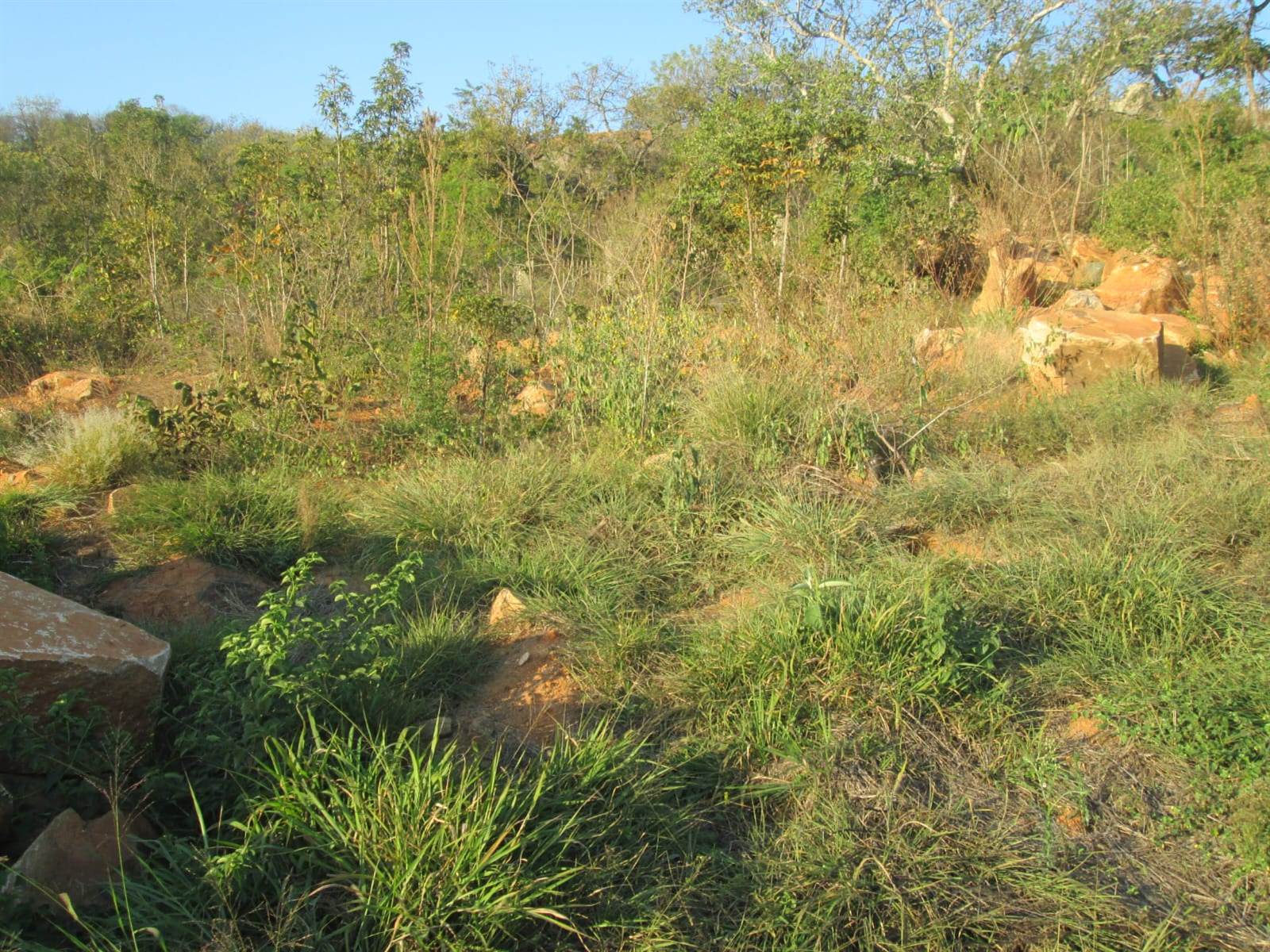 906 m² Land available in Drum Rock photo number 7